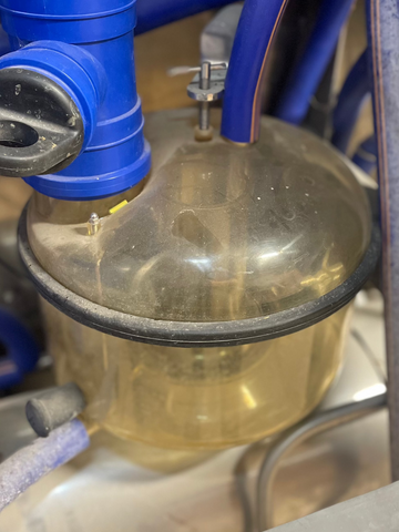 Sanitary Trap Lid