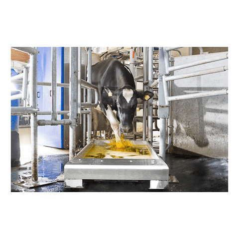 DeLaval footbath