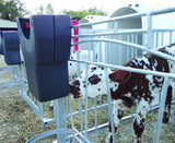 Milk Bar 1 Veal feeder with EZI-LOCKS