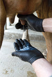 Milkers milking gloves